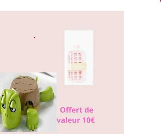 Glaçons innovants rafraîchissement | bouteille à glaçon™